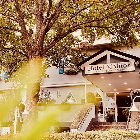 Restaurant Molitor 3* باد هومبرغ فور دير هوه