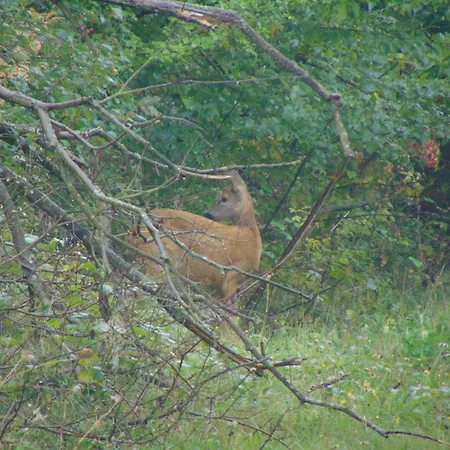 Restaurant Molitor فندق 3*