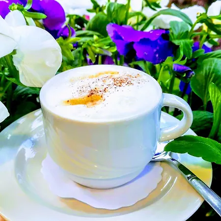 Hotel Restaurant Molitor 3*