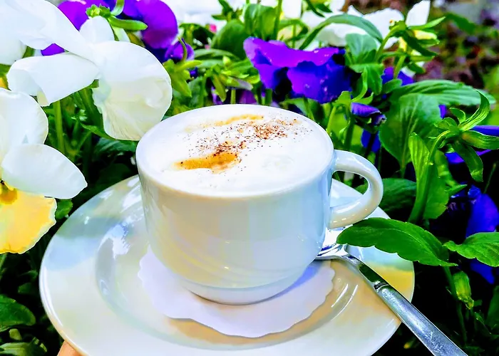 Szálloda Restaurant Molitor 3*