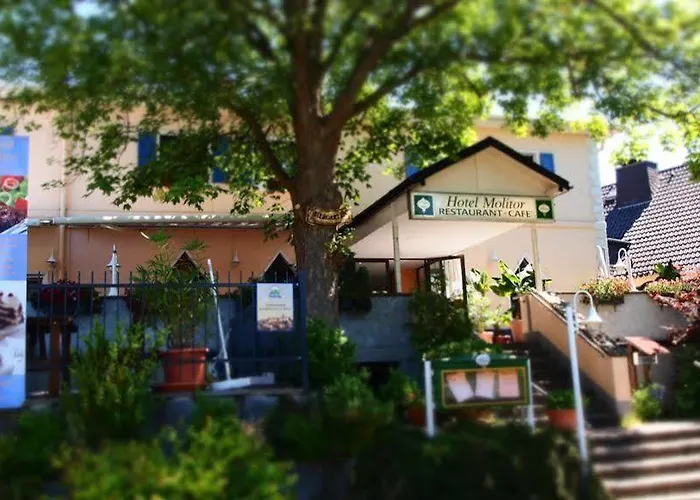 Restaurant Molitor Hotel 3*